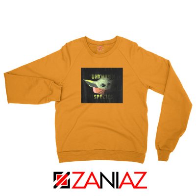 Unknown Species Baby Yoda Orange Sweater