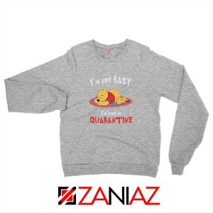 Pooh Quarantine Sport Grey Sweatshirt