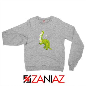Dinosaur Reading Sport Grey Sweatshirt