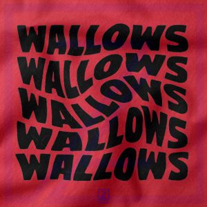 Black Wallows closeup Sweatshirt - Best Rock Band