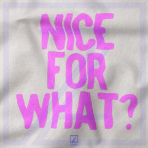 Nice for What closeup Sweatshirt - Buy Drake Song
