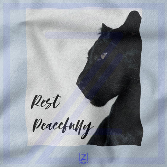 Rest Peacefully Black Panther closeup Hoodie - Marvel Superhero