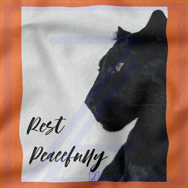 Rest Peacefully Black Panther closeup Tshirt - Marvel Superhero