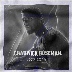 RIP Chadwick Black Panther closeup Tshirt - Wakanda Forever